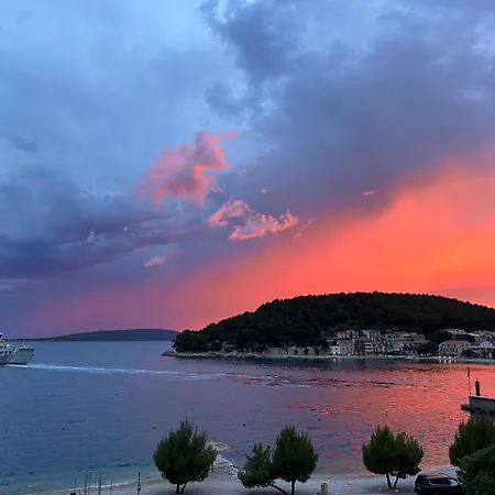 Stina Дрвеник