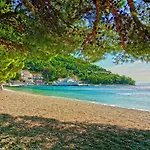 Stina Drvenik (Split-Dalmatia)